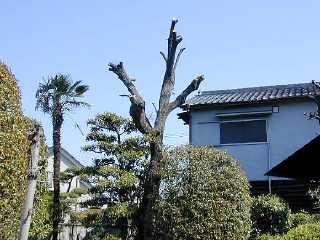 �Z���_��