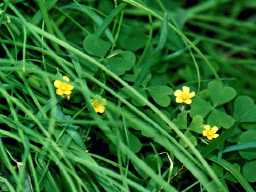 ���F����